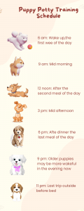 how to potty train a puppy
