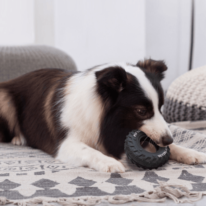 Dog chewing tire toy