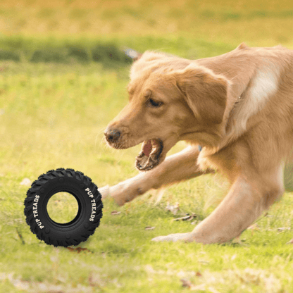 Dog Playing With Tire Toy