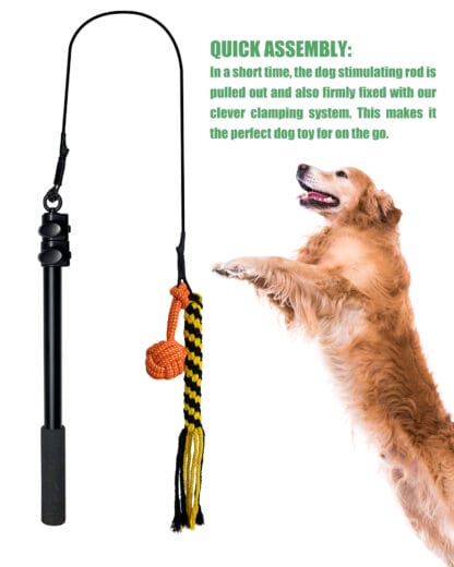 Infographic Of Watson Dog Products Dog Flirt Pole With Dog Next To It